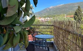Vasiliki Apartments